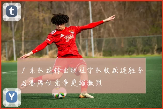 广东队逆转击败辽宁队收获连胜季后赛席位竞争更趋激烈