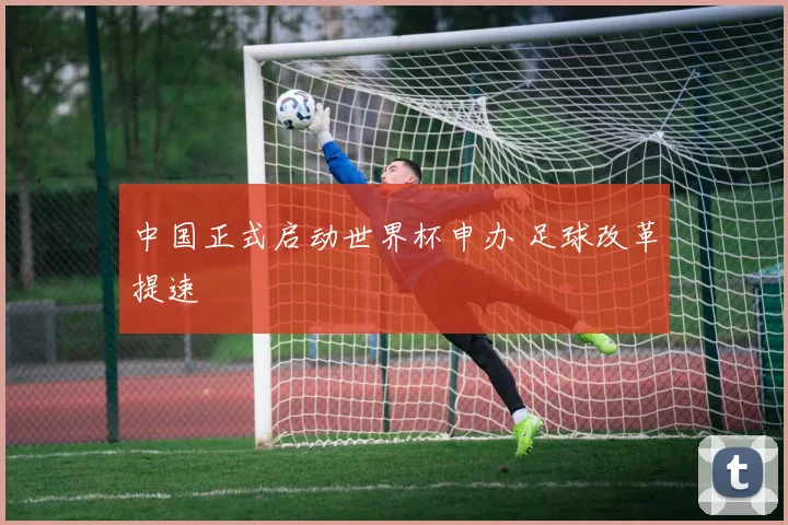 中国正式启动世界杯申办 足球改革提速
