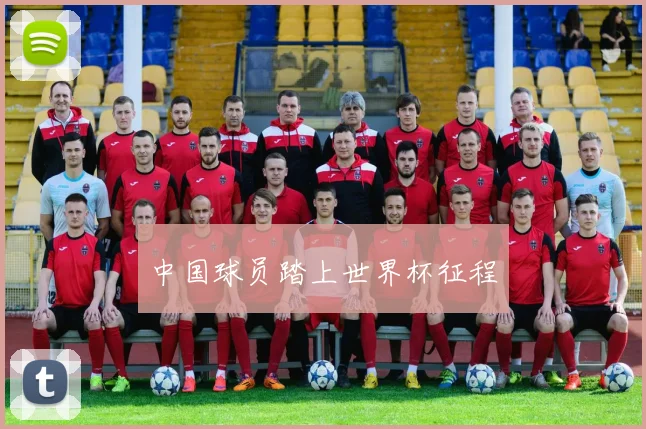 中国球员踏上世界杯征程