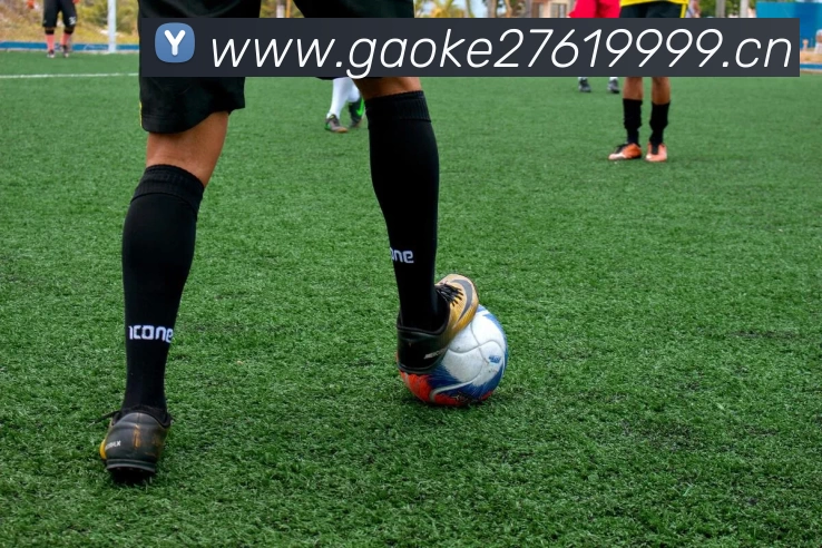 hth会体会网页版登录入口发展历程